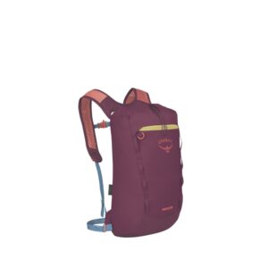Osprey Daylite Cinch – Moody Burgundy
