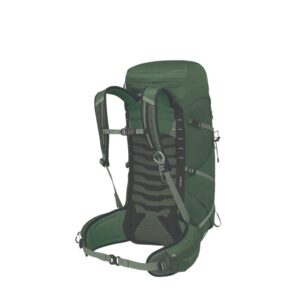 Osprey Talon 33 – Green Canopy/Pine Leaf