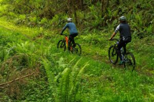Ibis-Cycles-HD6_2500x-19