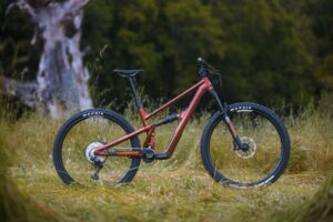 Ibis-Ripley_Becker_V2-1148